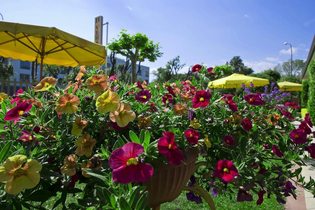 Hotel Versilia Lido di Camaiore Extérieur photo