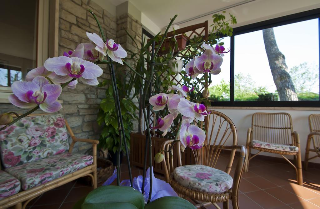 Hotel Versilia Lido di Camaiore Extérieur photo